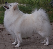 Iwan aus dem Norden Iwan aus dem Norden