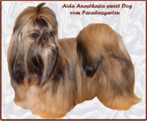Aida Anasthasia Aida Anasthasia
