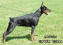 Glenda Royal Bell Glenda Royal Bell