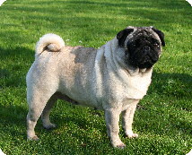 Queeny von Beusloe Queeny von Beusloe