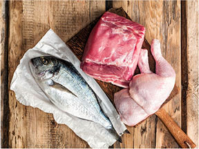 PLATINUM MENU – wet food without added water instead of watered-down wet food