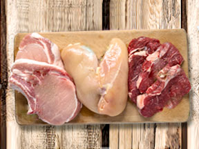 PLATINUM dry food – a far cry from conventional dog food