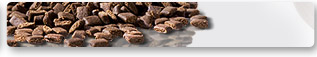 PLATINUM dry food – a far cry from conventional dog food