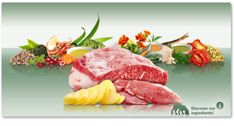 PLATINUM Adult Iberico+Greens – alternativa la mâncarea normală pentru câini PLATINUM Adult Iberico+Greens – alternativa la mâncarea normală pentru câini