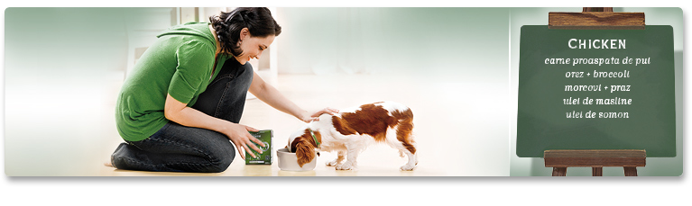 Meniul PLATINUM Chicken recomandare pentru hranire Meniul PLATINUM Chicken recomandare pentru hranire