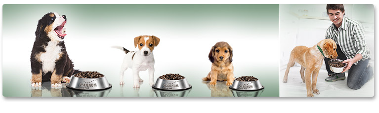 Recomandare pentru hranirea cu Puppy Chicken Recomandare pentru hranirea cu Puppy Chicken