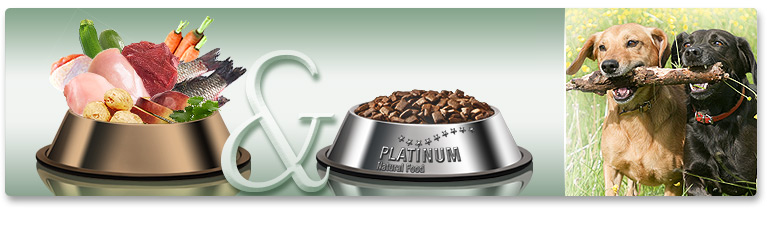 PLATINUM dog food as a supplement or alternative to a raw food diet