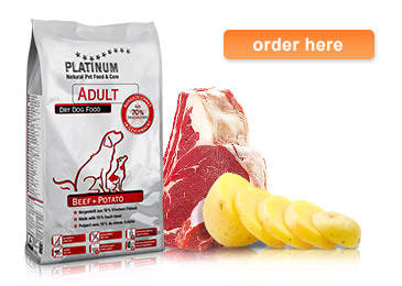PLATINUM Adult Beef+Potato informații despre produs din gama hrană uscată pentru câini PLATINUM Adult Beef+Potato informații despre produs din gama hrană uscată pentru câini