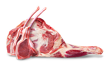Lamb meat